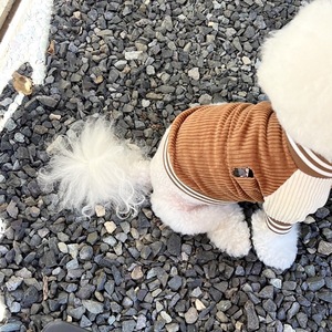 Pet T-Shirt For <strong>Dogs</strong> 2 Legs Design Soft Polyester Cotton Fleece Cute Quick Dry Breathable Pet Apparel Puppy Kitten Clothes - Product Image 6