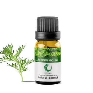 Huile d'Artemisia de Qualité Supérieure avec de l'Huile Essentielle Blumea de Feuilles d'Absinthe Naturelle 100% Pure