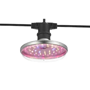 15W E27 IP65 มังกรผลไม้ Pitaya การเจริญเติบโตของพืช LED ไฟเติมแสงนอกฤดูกาล