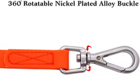 NOVIPET Ensemble laisse et collier pour chien en PVC imperméable, couleur unie, personnalisable pour la promenade et l'entraînement, respectueux de l'environnement