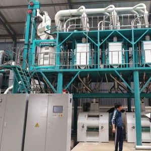 Gran oferta, molino de harina de maíz, máquina de molienda, procesamiento de granos para África, harina de maíz, granos Samp - Product Image 4