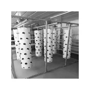 vertical aeroponics system tower high productivity for growing vegetables for sale