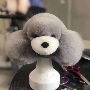 Modelo de Cabeza de Perro Teddy para Prácticas, Esqueleto de Práctica para Escuelas de Estética Canina, Debe Usarse con Pelo Sintético - Product Image 3