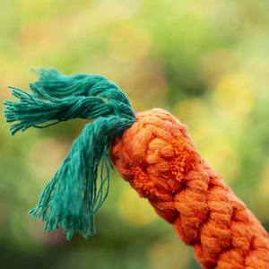 Hızlı kargo toptan üretici havuç pamuk halat diş temizleme Pet interaktif köpek çiğneme oyuncakları - Product Image 6