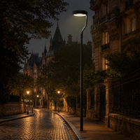 Nouvelle Lampe de Jardin LED Ornementale IP66 New Horizon Lira pour Parking et Cour Haute Efficacité Garantie 5 Ans