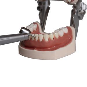 Pièce à main en acier inoxydable, haute vitesse 45 degrés, 2 ou 4 trous, pour les dentistes, <span class=keywords><strong>prix</strong></span> d'usine - Product Image 5