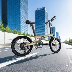 Fabricageprijs Krachtige Elektrische Fiets Meest Populaire Elektrische Fietsen 30 40 50 Km/h