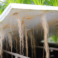 Conteneur de plantation aquaponique hydroponique tridimensionnel avec pompe pour légumes