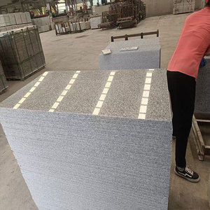 Top Grade Trung Quốc đánh bóng <span class=keywords><strong>G603</strong></span> Granite 2cm Độ dày ánh sáng màu xám tấm hiện đại với các giải pháp thiết kế đồ họa - Product Image 6