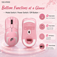 Souris de jeu sans fil FPW en gros, capteur PAW3335, 16000 DPI, RGB, rechargeable, ergonomique, programmable, souris d'ordinateur OEM