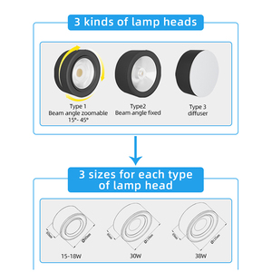 <span class=keywords><strong>Naruto</strong></span> — Mini lampe sur piste Led, 20w, 30w, 40w, Angle <span class=keywords><strong>de</strong></span> 60 faisceaux réglables, meilleur <span class=keywords><strong>prix</strong></span> - Product Image 5