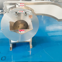 Hoge snelheid groentestrip snijmachine, commerciële snijmachine voor aardappel, zoete aardappel en aubergine
