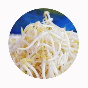 Giá Nhà Sản Xuất Bán Buôn Iqf Đậu Xanh Đông Lạnh Rau Củ Đậu Xanh - Product Image 5