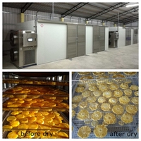 Elektrische KINKAI Hoge Efficiëntie Continue Mesh Belt Groente- en Fruitdroogmachine (3,2-15,6 kW 20 kg/u capaciteit PLC-gestuurd CE-gecertificeerd)