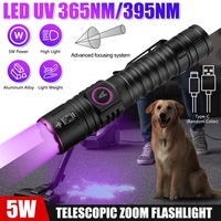 Linterna UV Mini de Aluminio, 5W, Tipo C, Recargable por USB, Luz Negra, Detector de Dinero, Ultravioleta Pura de 365nm, para Camping, IP44