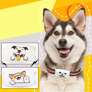 Theo Dõi Vị Trí Sức Khỏe Cho Thú Cưng Theo Dõi Thời Gian Thực Theo Dõi Gps Mini Sim Vòng Cổ Thú Cưng - Product Image 3