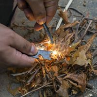 Clé ouvre-bouteille en pierre silex, kit de survie, multifonctions, en forme de danaiae, mini règle, sifflet de Camping, 1 pièce