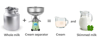 Séparateur de crème de lait centrifuge de bonne qualité 30W DC12V, facile à utiliser