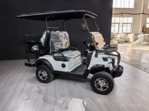 WELIFTRICH Voiturette de golf électrique tout-terrain 3-4 places, batterie lithium 60V, entièrement étanche, pour la chasse et le tourisme, 30-50 km/h, autonomie 90 km - Product Image 3
