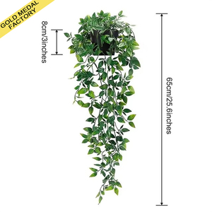 <span class=keywords><strong>Plante</strong></span> <span class=keywords><strong>murale</strong></span> artificielle suspendue, Mandala Eucalyptus, <span class=keywords><strong>plante</strong></span> en pot, lierre vert, couronne de fleurs, plantes décoratives en pot - Product Image 1