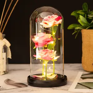 Drie Bewaarde Bloem Valentijnsdag Geschenken Ideeën Betoverde Led-verlichting In Glas Dome Eeuwige Rose Ornamenten