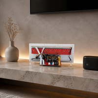 Carte d'amplification audio numérique 500W x 2 BT5.3 HiFi Stéréo, alimentation AC 220V / DC 12-24V, Récepteurs et amplificateurs
