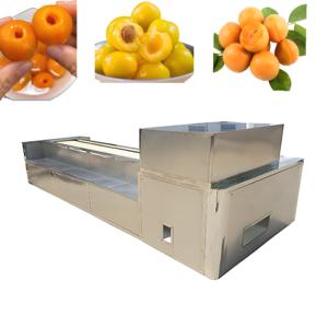 Trang trại đa chức năng ngày Đỏ lõi loại bỏ máy xoài trái cây lõi loại bỏ máy đào lõi loại bỏ máy - Product Image 2