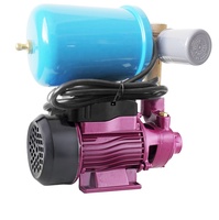 Pompe à eau automatique série QB QB-60 avec réservoir sous pression 2L 370w pour le marché russe