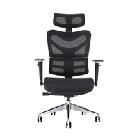 Chaise de bureau ergonomique en maille pour ordinateur, avec dossier haut réglable en 3D, nouvelle collection,