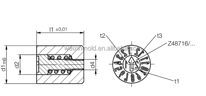 HASCO Z48710 Z48700 Z48715 Z48718 Plastic Mold Date Stamps Inserts