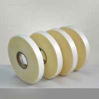 Ruban en silicone haute densité imprimé, ruban TPU, ruban en silicone mat de luxe en PVC 25 mm pour étiquette d'entretien