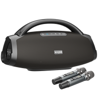 Enceinte sans fil d'extérieur W-King D20, enceinte portable tendance avec woofer 200W, enceinte basse sans fil, enceinte DJ avec moniteur