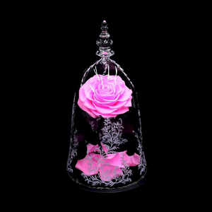 Dôme de verre pour toujours rose dans dôme de verre rose clair la belle et la bête rose dans verre led - Product Image 6