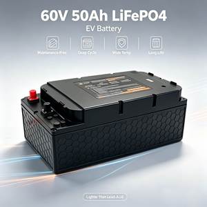 60V 50Ah Lithium IJzer Fosfaat (LiFePO4) accu voor 2-wiel/3-wiel elektrische voertuigen, uitgerust met een BMS, geschikt voor deep cycling - Product Image 1