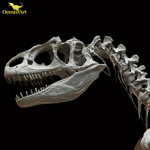 Khủng Long Hóa Thạch Skull Bất T Rex Skeleton Để Bán - Product Image 5