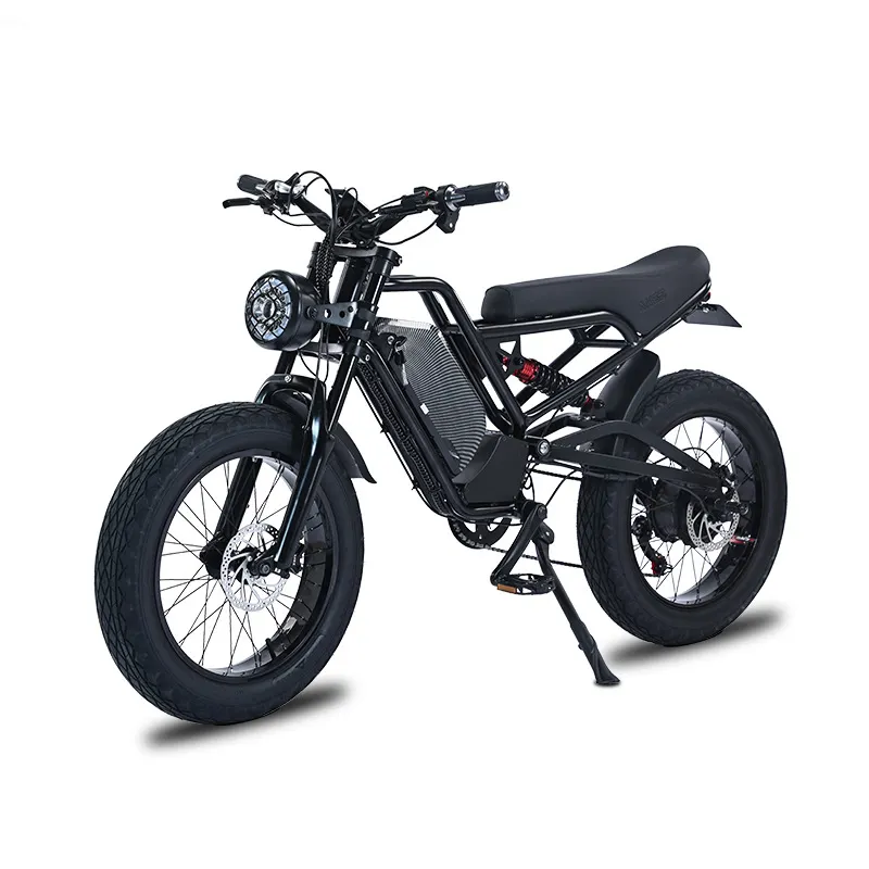 20" Off-road Pneumatic Tire Two Seater Electric City Recreational Bike Full Shock Absorption Electric Bike