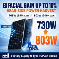 Panneau solaire monocristallin de type N OEN RM-730W-210M/132TB N-730W, 23,5 % d'efficacité élevée, demi-cellules, 132 cellules