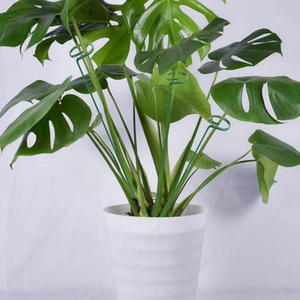 Protective Design For <b>Plants</b> Iron <b>Support</b> Rods Climbing <b>Frame</b> 20 Piece Set Enhanced <b>Plant</b> Stability Long-Lasting Performance - Product Image 4