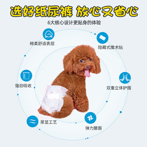 Couches pour animaux de compagnie pour chiens, 10 pièces, protection contre les fuites, tissu non tissé, pantalons menstruels pour chiots et femelles - Product Image 3