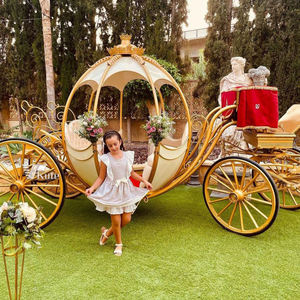 Chariot de chevaux romantique pour mariage et visites touristiques / Magnifique chariot de chevaux princesse citrouille - Product Image 1