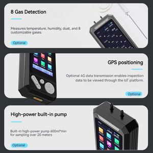 Multi-Gas Detection Instrument with <b>Pump</b>, Dust, NH3, Toxic Gas, IP68, CE Certified - Product Image 4