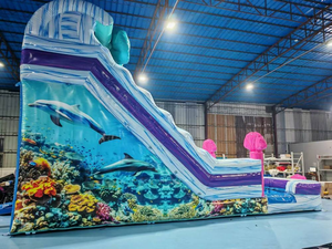 <span class=keywords><strong>30</strong></span> ft trẻ em Aqua công viên nước <span class=keywords><strong>Slide</strong></span> ngoài trời <span class=keywords><strong>bouncy</strong></span> nhà <span class=keywords><strong>Inflatable</strong></span> trượt nước sân chơi trượt nước <span class=keywords><strong>Inflatable</strong></span> trượt nước - Product Image 2