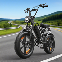 Vélo Électrique en Promotion 750W 48V 15AH Batterie Ebike Pneus Larges VTT Tout-Terrain Moto Électrique pour Adulte