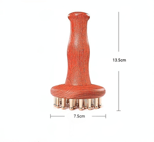 <span class=keywords><strong>Meilleur</strong></span> matériel de désintoxication 29 pièces brosse en laiton manche en bois <span class=keywords><strong>appareil</strong></span> de Massage de Drainage lymphatique du corps entier - Product Image 2