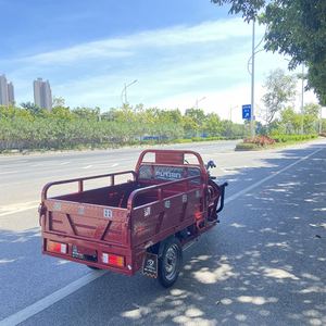 Elegant 90Km <b>Range</b> Trishaw for City and Countryside Three Wheel Tricycle - Product Image 2