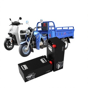 Batterie au lithium LiFePo4 48V 60V 72V 21Ah 30Ah 40Ah 50Ah IP65 pour motos électriques, scooters, tricycles, rickshaws, vélos - Product Image 2