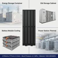 Plaque de refroidissement liquide en aluminium à haute efficacité OEM FSW pour la gestion thermique des batteries de véhicules électriques et des systèmes de stockage d'énergie