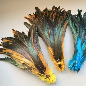 Plumas <span class=keywords><strong>de</strong></span> <span class=keywords><strong>Gallo</strong></span> Coloridas, Rectas <span class=keywords><strong>y</strong></span> Teñidas, <span class=keywords><strong>de</strong></span> 25-30 cm, Plumas <span class=keywords><strong>de</strong></span> Pollo para Decoración <span class=keywords><strong>de</strong></span> Cócteles, Accesorios <span class=keywords><strong>de</strong></span> Vestuario para Espectáculos - Product Image 3