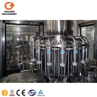 3000bph 14-12-5 Fruit Sapvulfabriek Mango Sapvulmachine