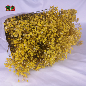 Otras Flores y Plantas Decorativas, Flores de Gypsophila <span class=keywords><strong>Preservadas</strong></span> Coloridas, 1 KG por Ramo - Product Image 5